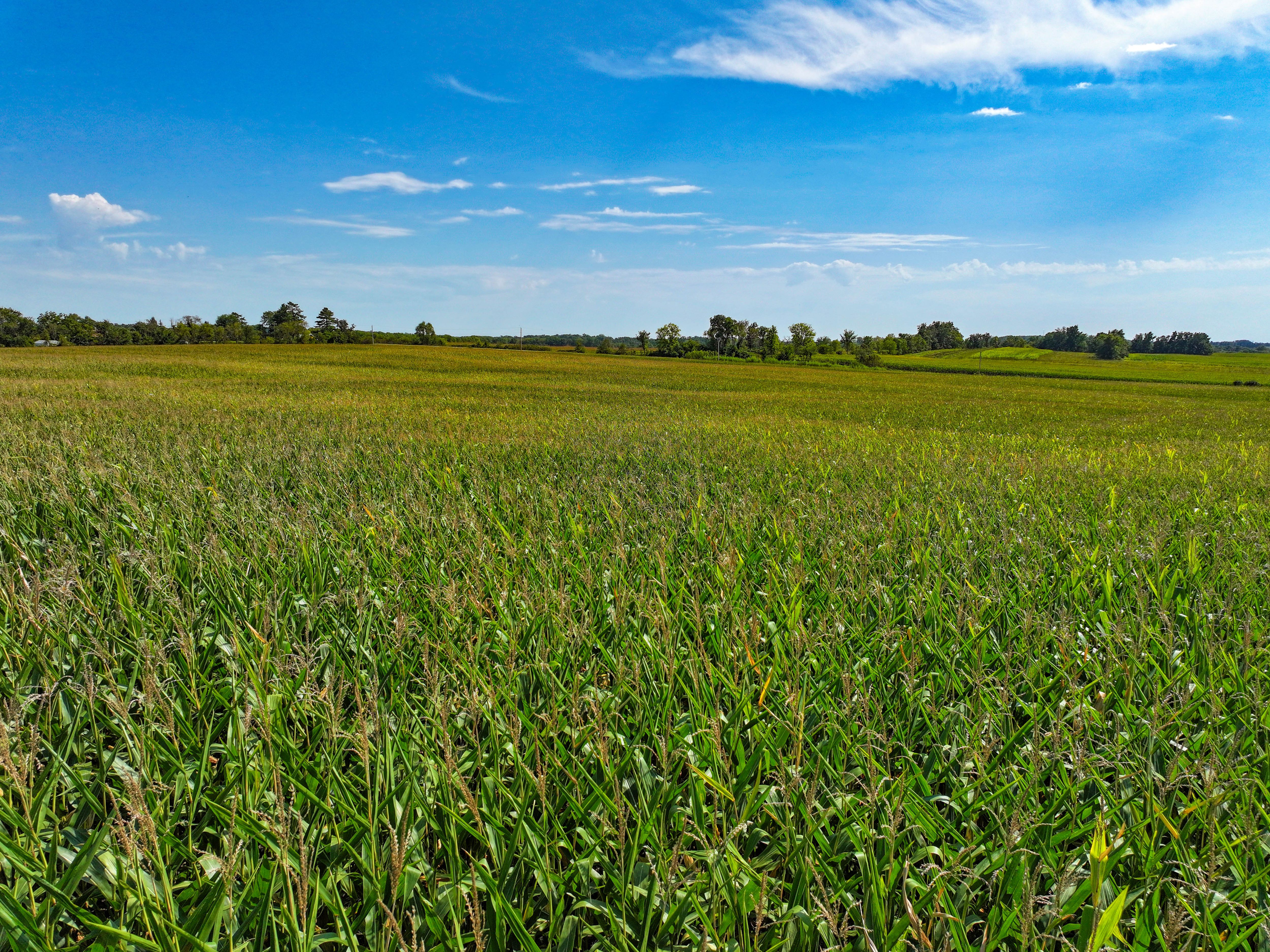 Listing Photo: 12_Delaware Co IA Farm For Sale